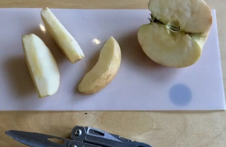 Camp Cutting Board 1