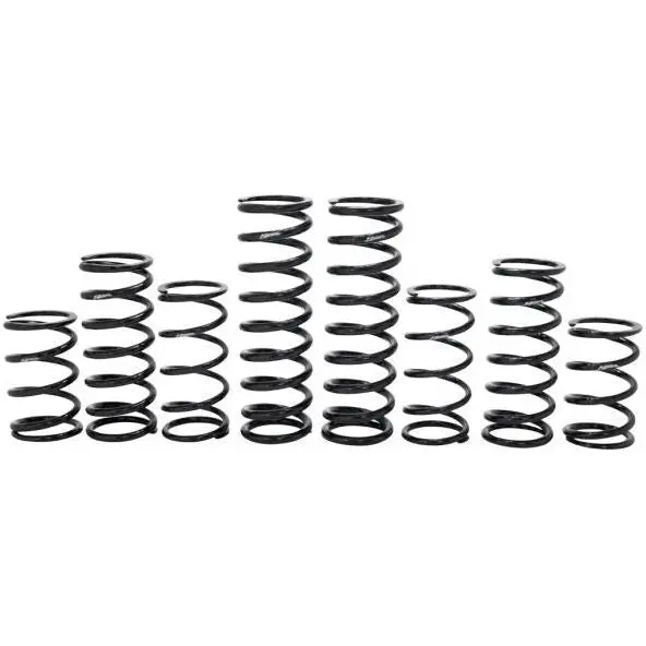 Polaris Rzr Turbo R 4 Dynamics Stage 1 Spring Kit 1