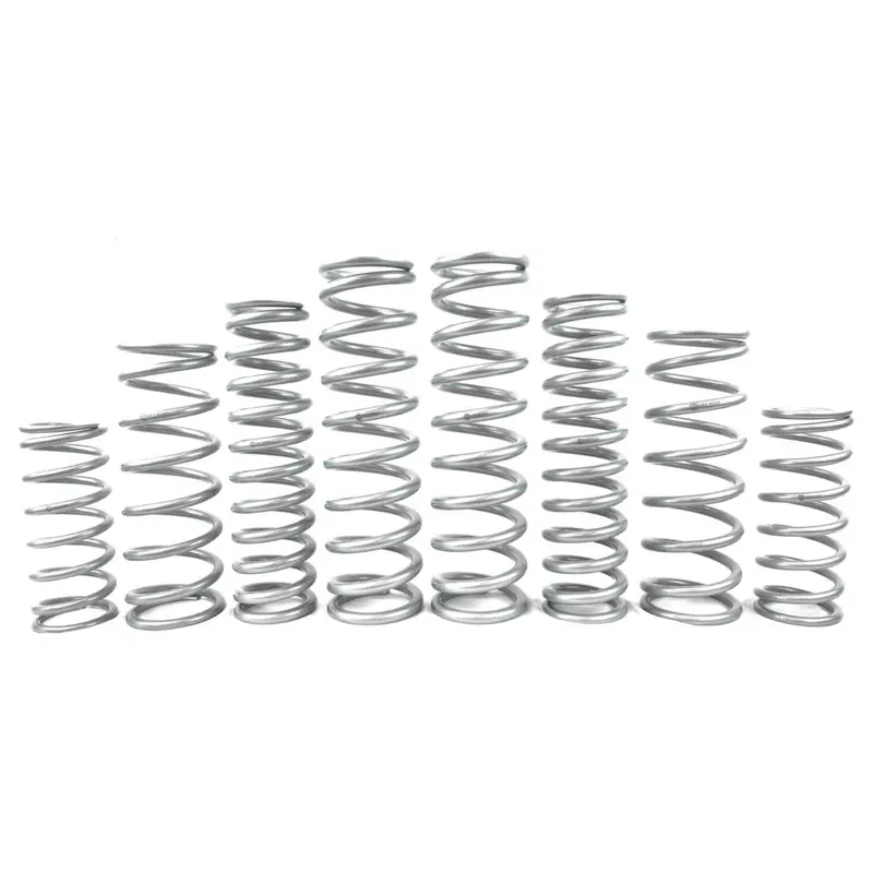 Polaris Xpedition Spring Kit 1